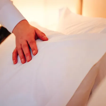 فندق سيناتور